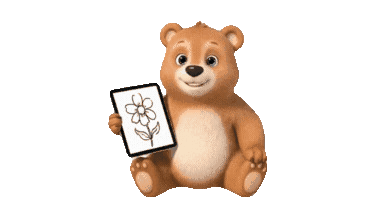 Cute bear drawing